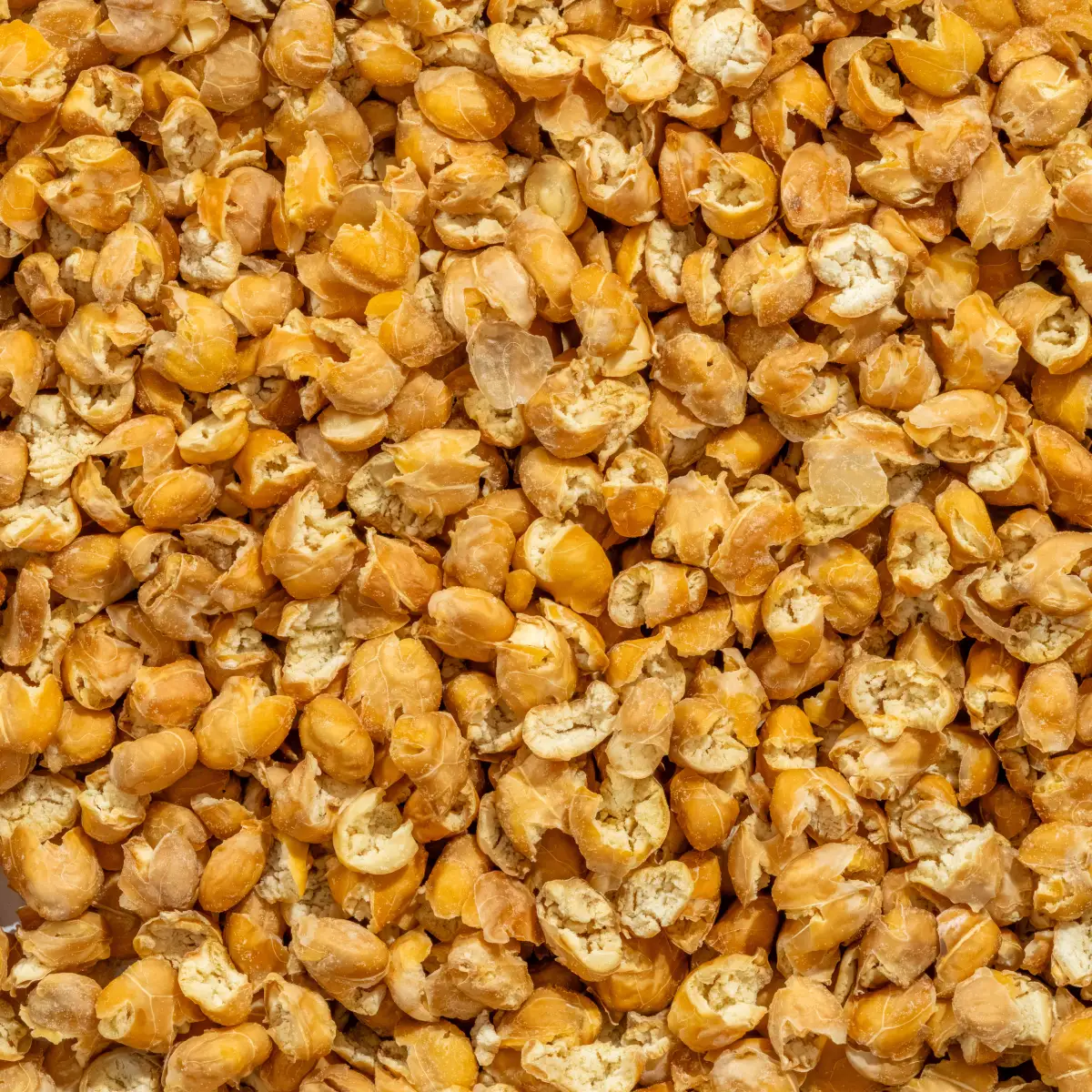 Et billede viser et makrobillede af kikærte-flakes fra NutriPur