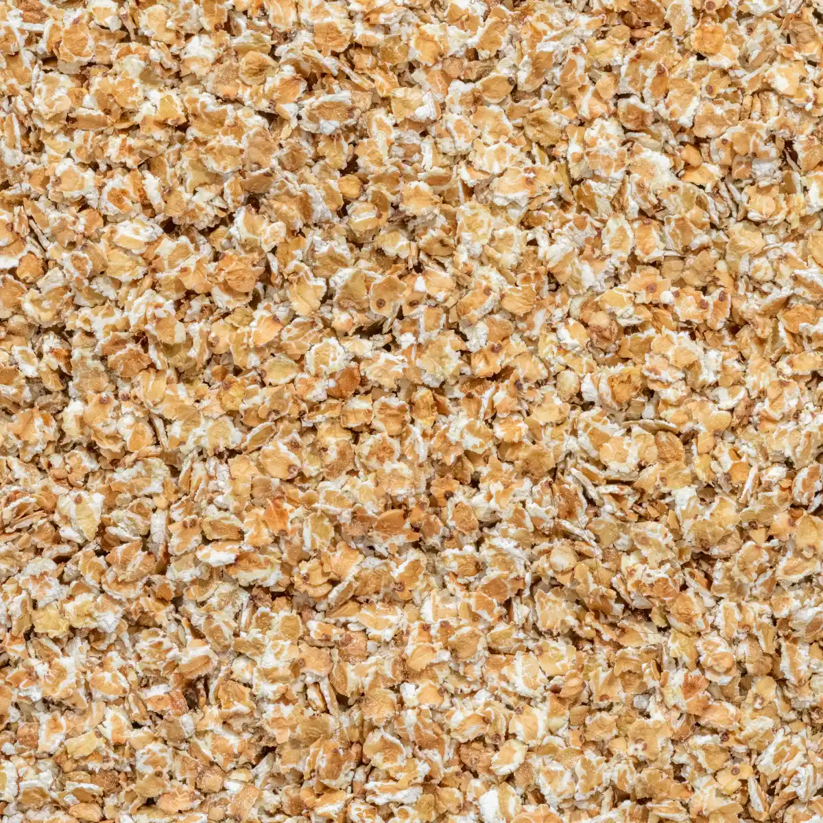 Et billede viser et makrobillede af sprøde boghvedeflager fra NutriPur