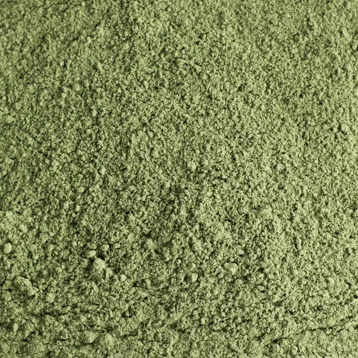 Et billede viser et makrobillede af SuperPowder Økologisk Byggræs-Pulver.
