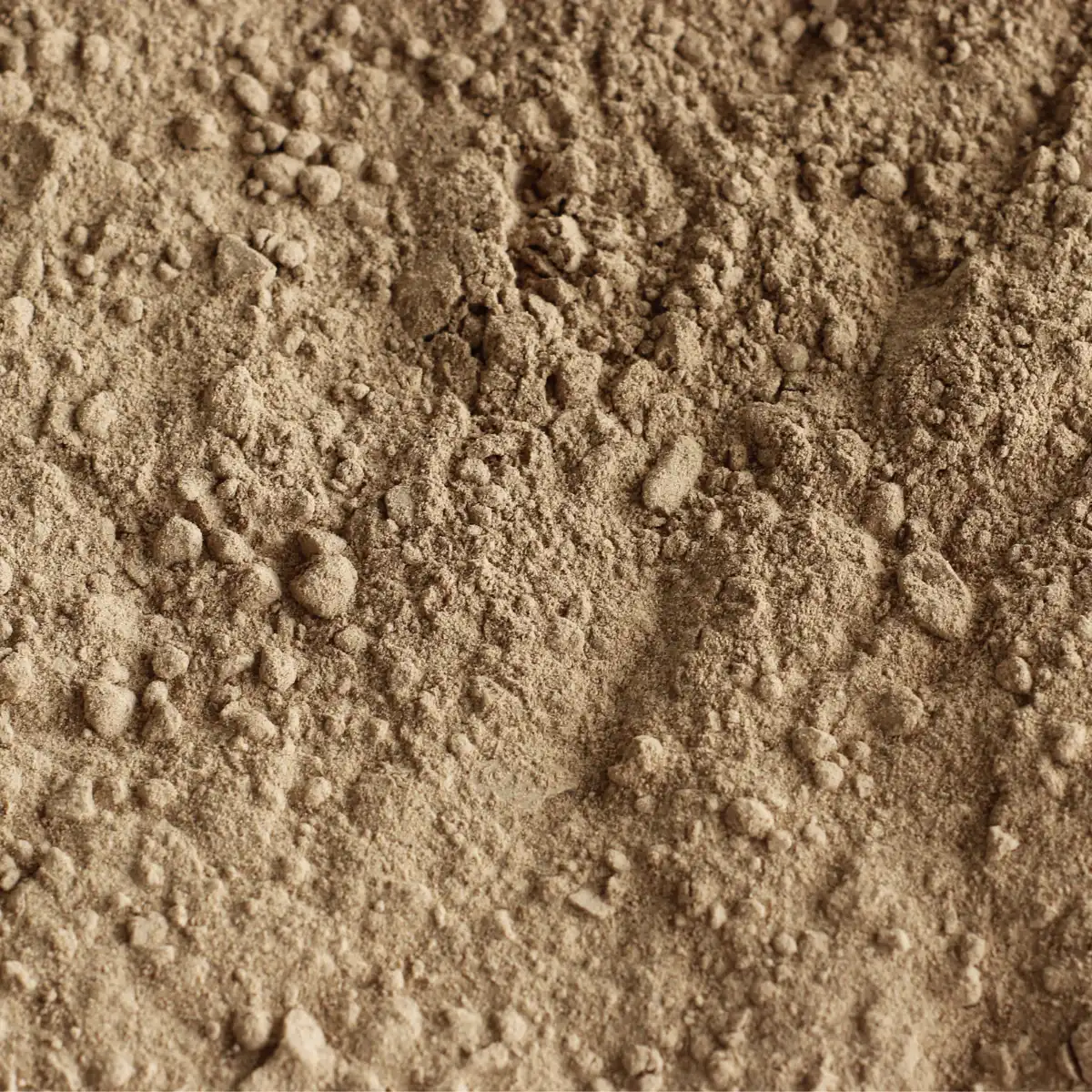 Et billede viser et makrobillede af SuperPowder Økologisk Guarana-Pulver.