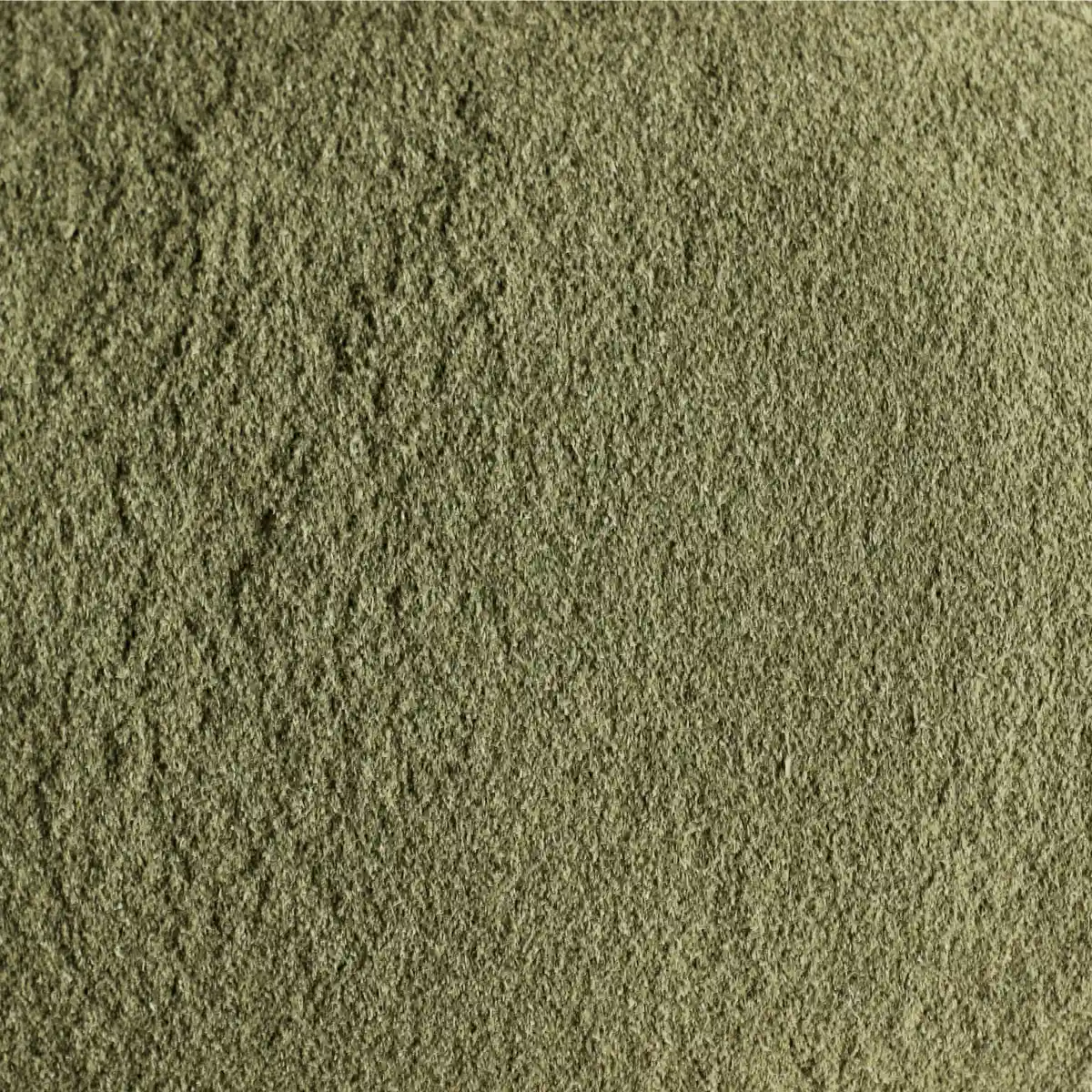 Et billede viser et makrobillede af SuperPowder Økologisk Hvedegræs-Pulver.