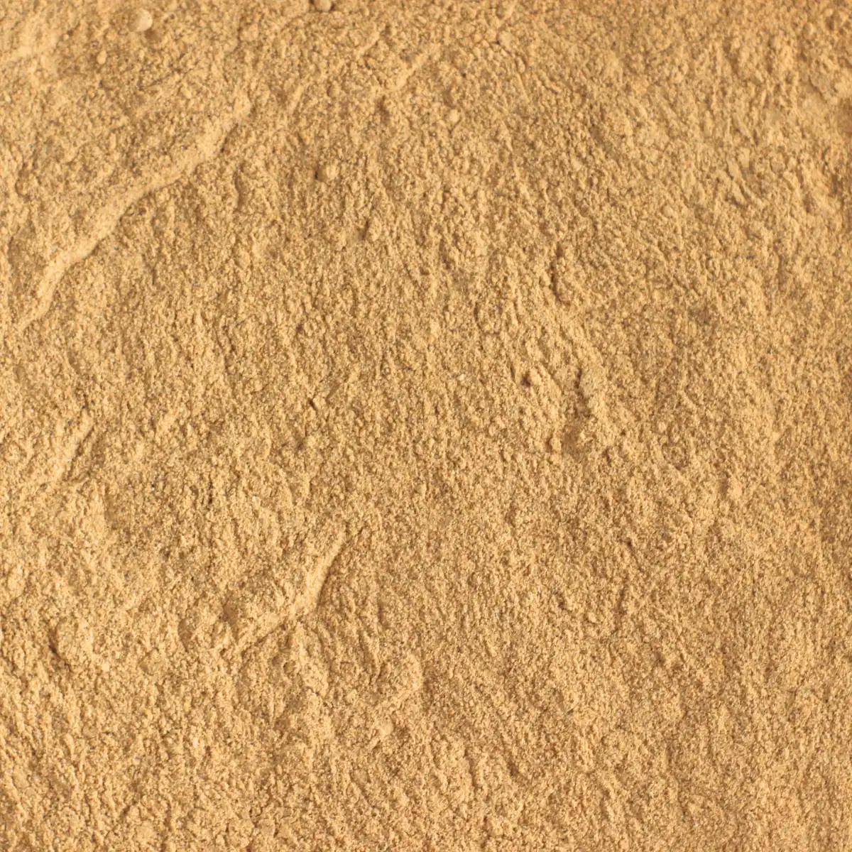 Et billede viser et makrobillede af SuperPowder økologisk acerola-pulver