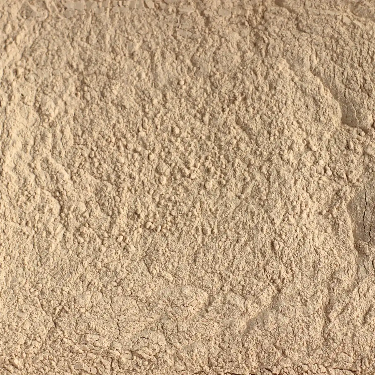 Et billede viser et makrobillede af SuperPowder økologisk lucuma-pulver