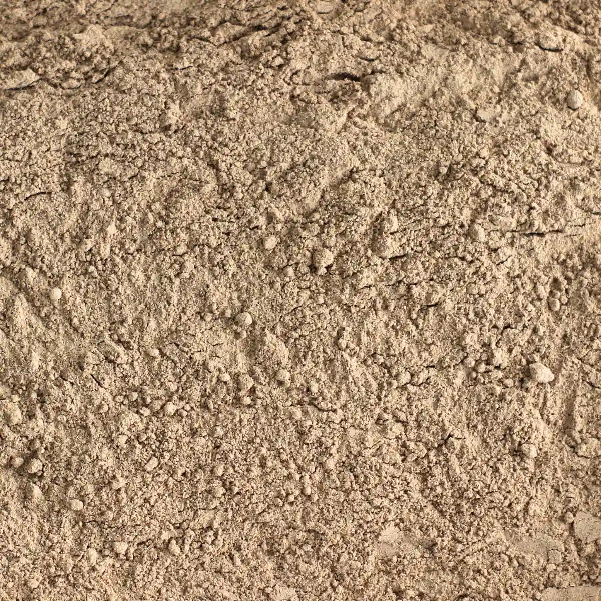 Et billede viser et makrobillede af SuperPowder Økologisk Camucamu-Pulver