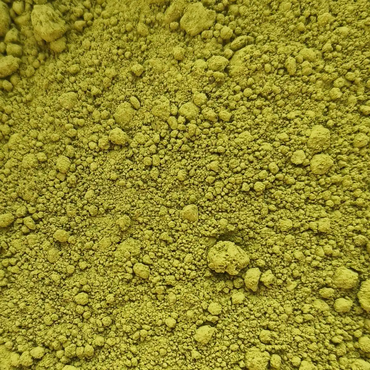 Et billede viser et makrobillede af SuperPowder økologisk matcha-pulver.