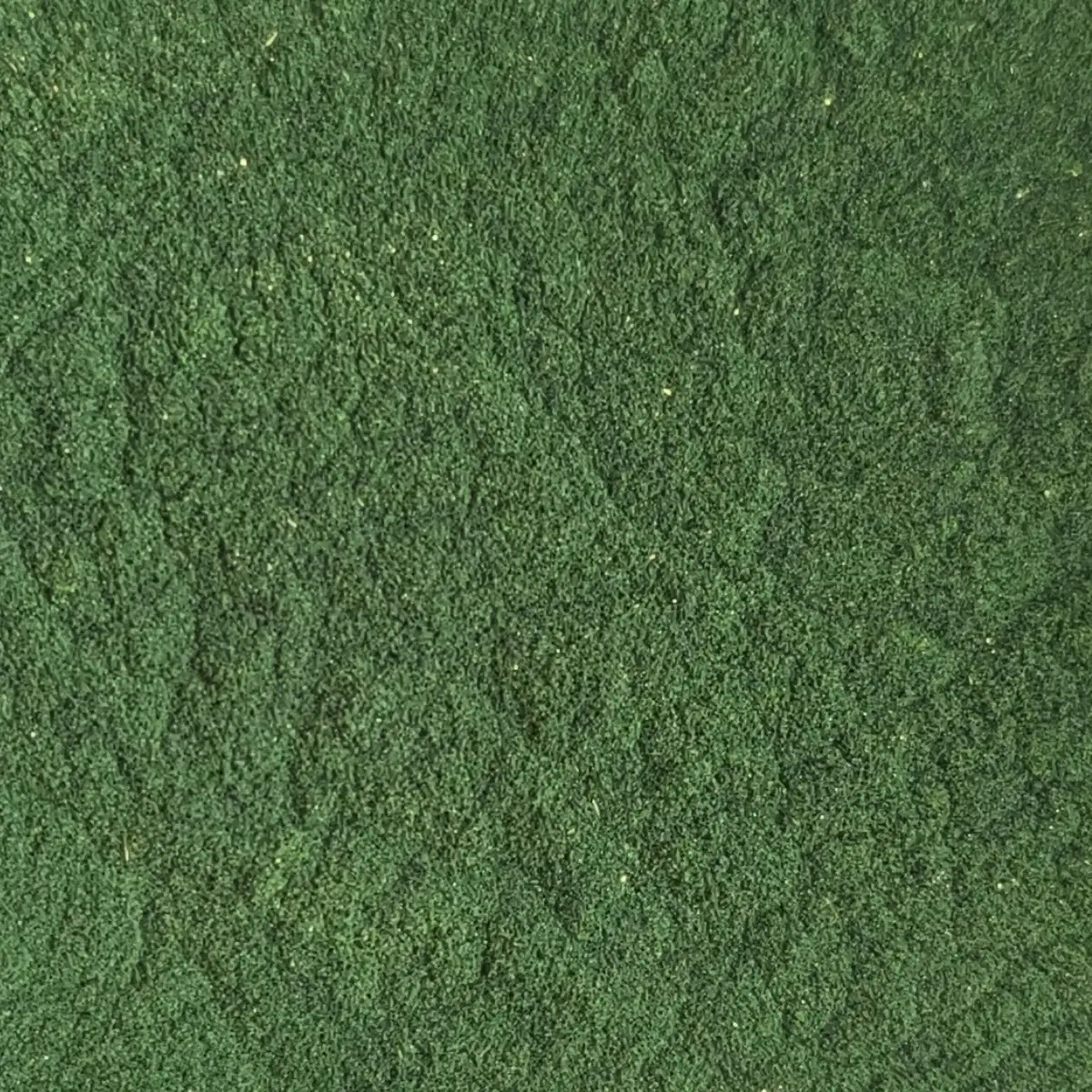 Her er et produktbillede af SuperPowder Økologisk Spirulina-Pulver fra NutriPur.