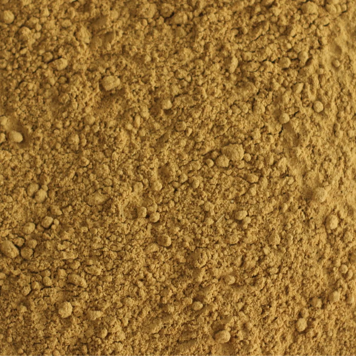 Et billede viser et makrobillede af Supershot-Mix Ingefær.