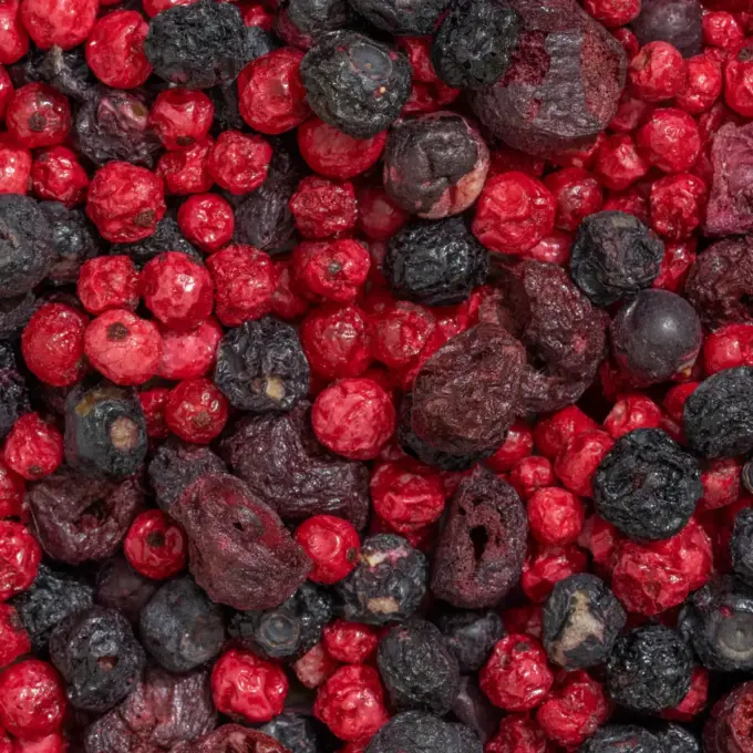 Billedet viser et makrobillede af den frysetørrede økologiske frugtblanding ,,Bittersød Kærlighed ’’ fra NutriPur.