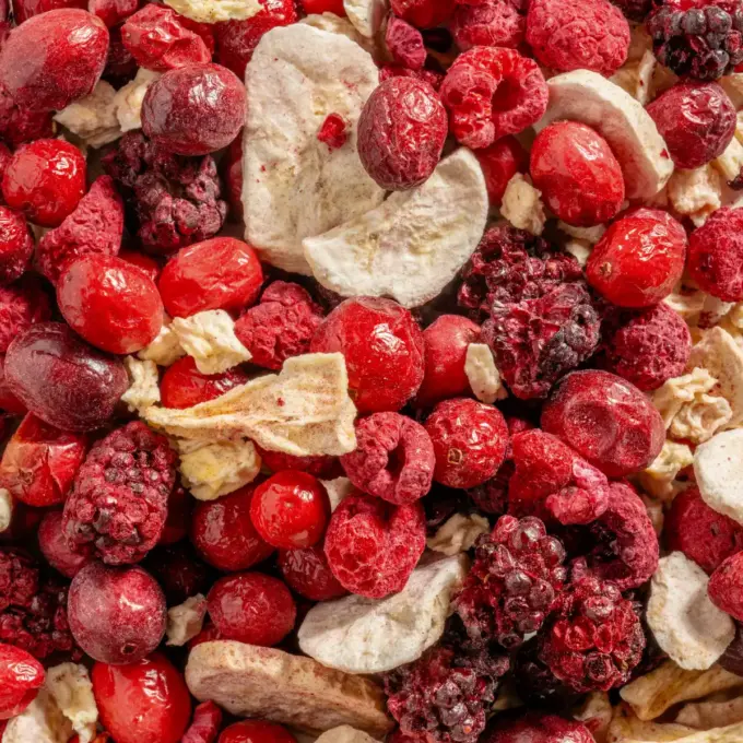 Billedet viser et makrobillede af NutriPurs frysetørrede frugtblanding “Multi Vital”