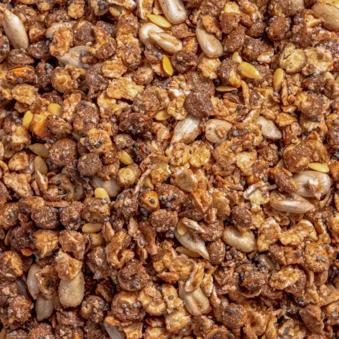Et makrobillede af det næringsoptimerede granola.