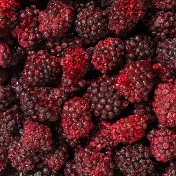 Billedet viser et nærbillede af NutriPurs frysetørrede brombær