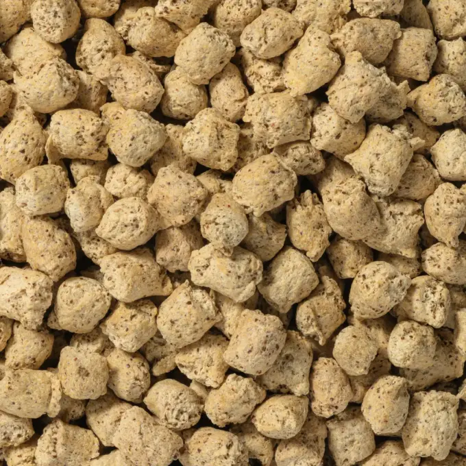 Et billede viser et makrobillede af hestebønne-crispies fra NutriPur
