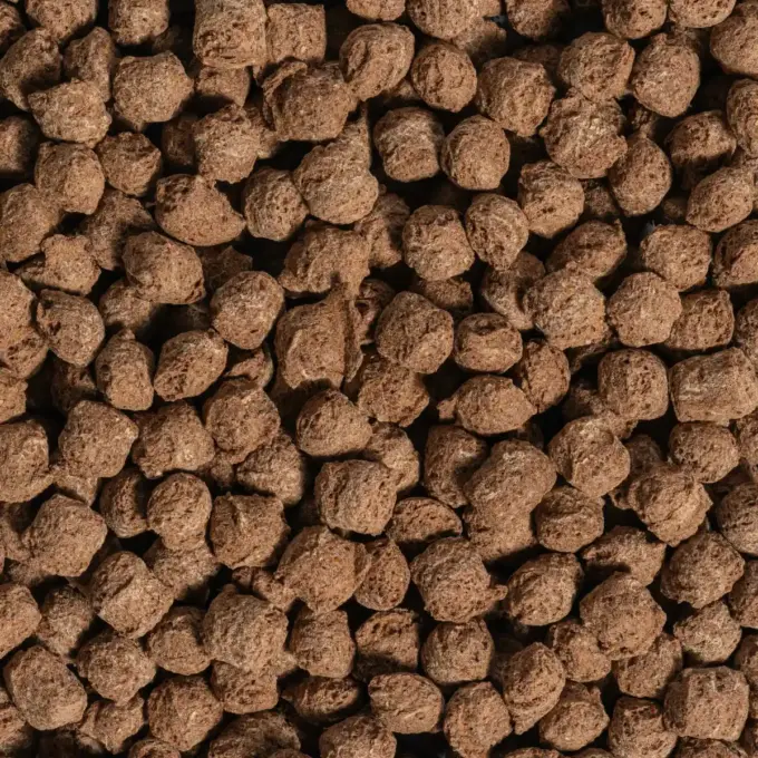 Et billede viser et makrobillede af hestebønne-crispies med kakao fra NutriPur