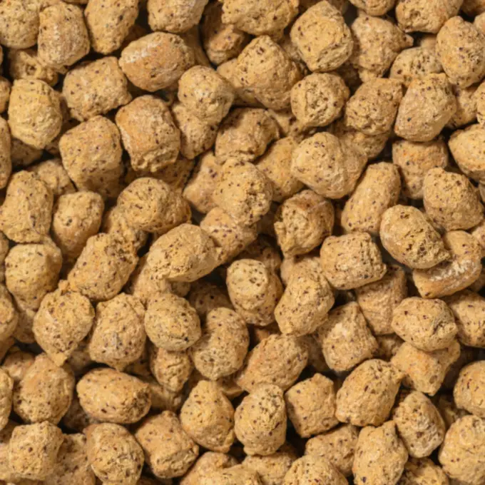 Et billede viser et makrobillede af de stærke hestebønne-crispies fra NutriPur