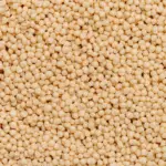 Et billede viser et makrofoto af højprotein-soja-crispies fra NutriPur.
