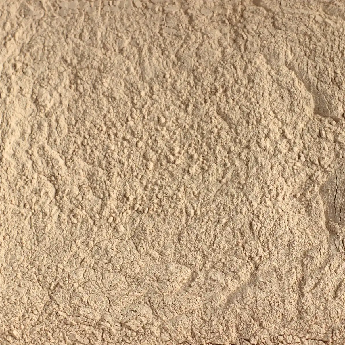 Et billede viser et makrobillede af SuperPowder økologisk lucuma-pulver