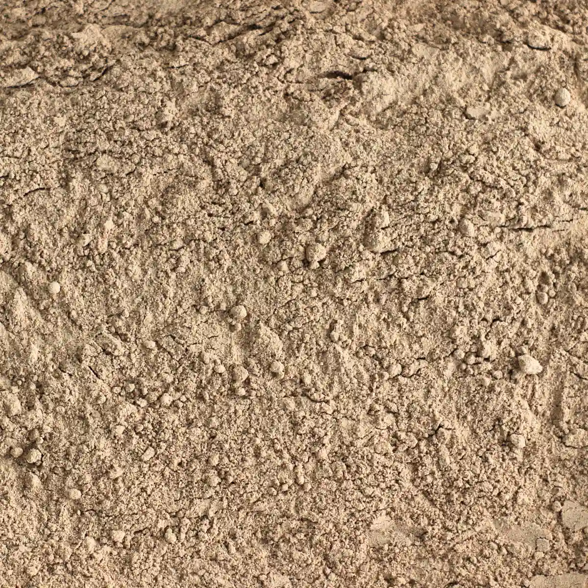 Et billede viser et makrobillede af SuperSpice Øko Camu Camu-pulver