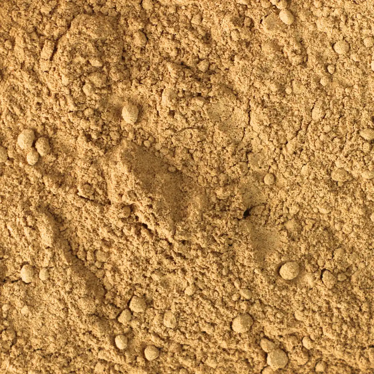 Produktbillede af Supershot Mix Økologisk Ingefær fra NutriPur