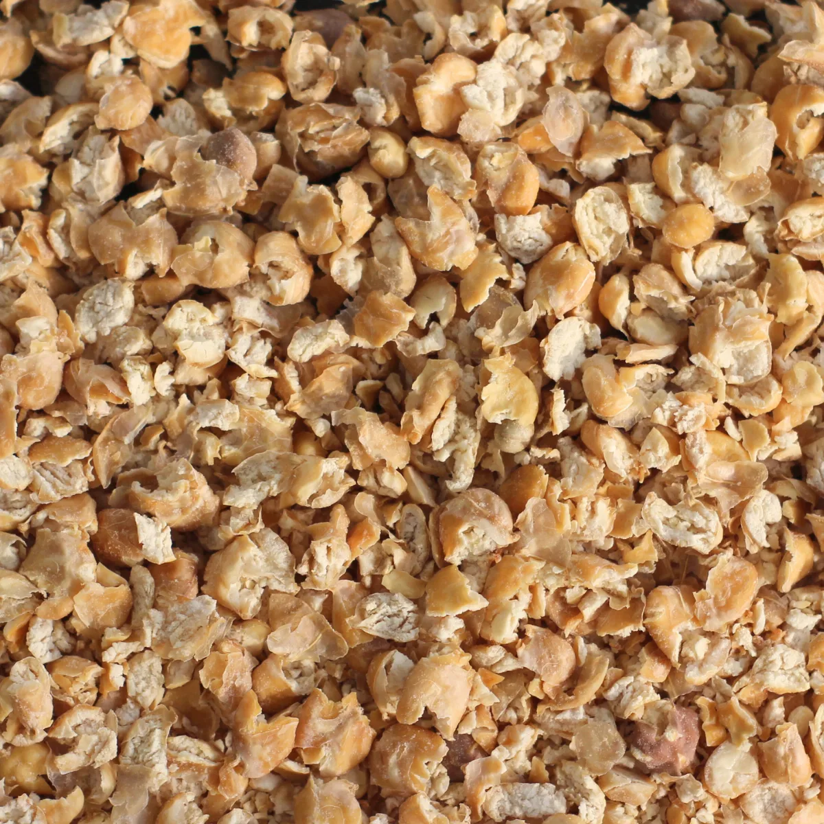 Et billede viser et makrobillede af kikærte-flakes fra NutriPur