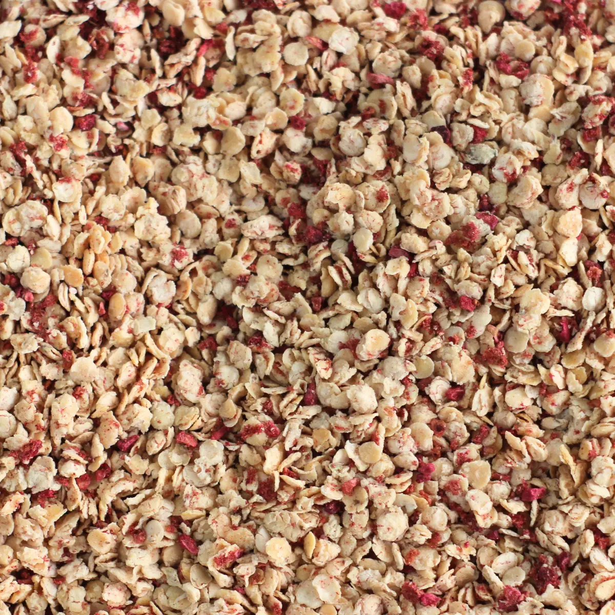 Et billede viser et makrobillede af linsenmüsli med røde bær fra Nutripur